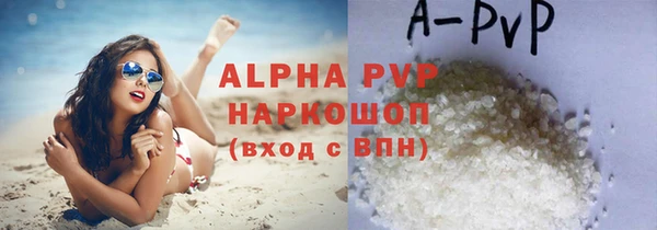 молекула духа Кинешма