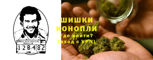 молекула духа Кинешма