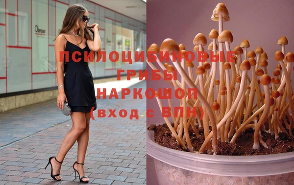 винт Киренск