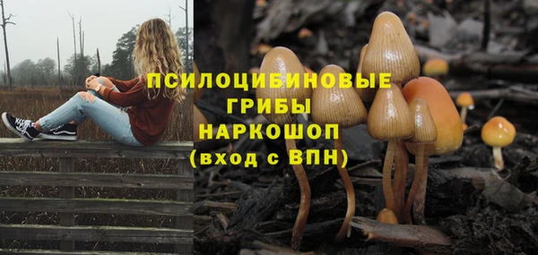 шишки Киреевск