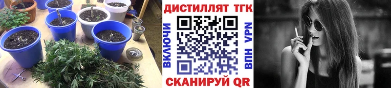Купить  Волгоград  Дистиллят ТГК концентрат 