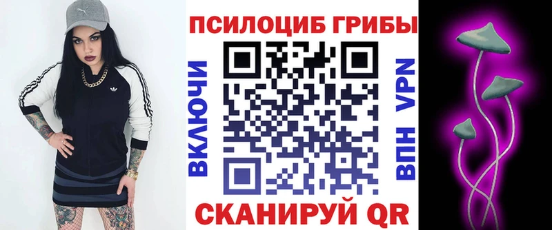 Псилоцибиновые грибы Psilocybe Волгоград