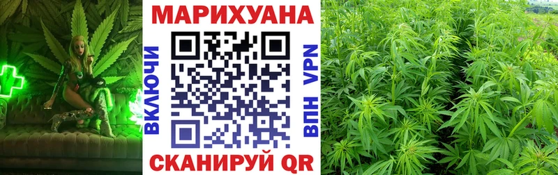 Купить где  Волгоград  Канабис SATIVA & INDICA 